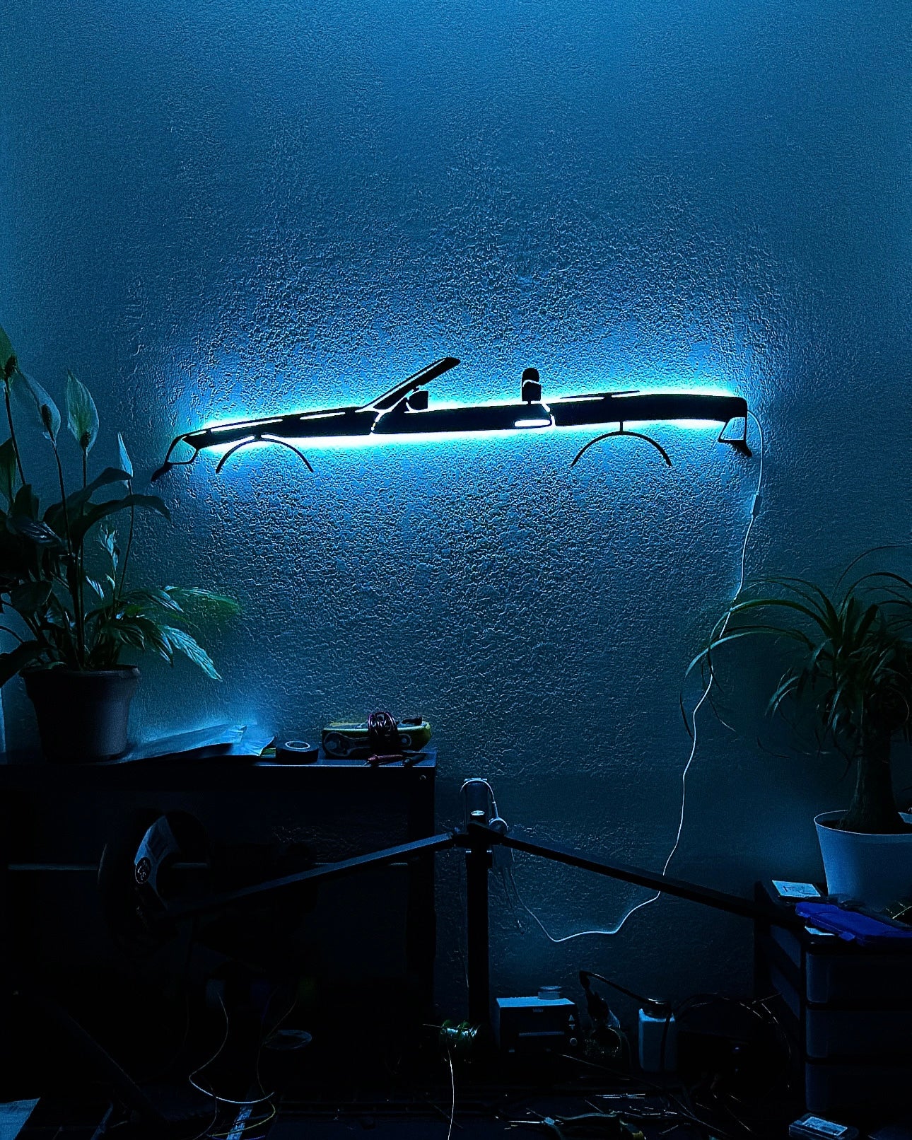 R129 LED Wall Sign
